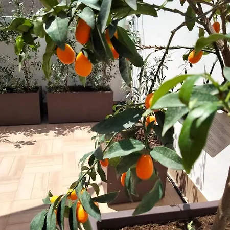 Maison Chene Con Vasca Idromassaggio Pensjonat Bisceglie