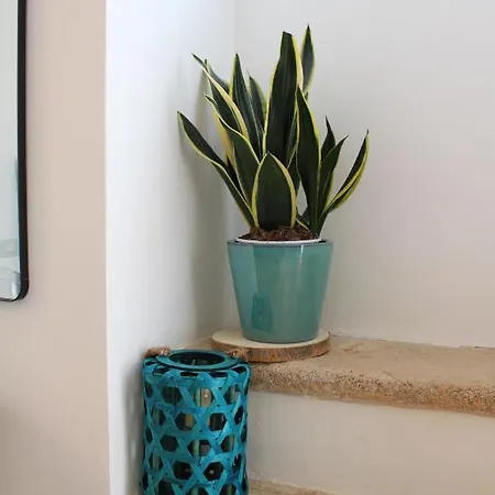 Maison Chene Con Vasca Idromassaggio 4* Bisceglie